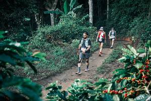 BIB: 
                            <button type="button" onclick="openModal(25794075)" class="btn btn-primary btn-sm float-right btn-popup" data-toggle="modal" data-target=".modal-high-quality">
                        <i class="fas fa-shopping-cart"></i> Add to Cart
                    </button>
                                            <button type="button" onclick="isThisMe(25794075, true)" class="btn btn-success btn-sm float-right btn-popup btn-isme hidden" data-toggle="tooltip" data-placement="bottom" title="นี่คือรูปของคุณใช่ไหม คลิกที่นี่เพื่อเอาเข้าอัลบั้ม">
                        <i class="fas fa-plus"></i> Add to album
                    </button>
                    <button type="button" onclick="isThisMe(25794075, false)" class="btn btn-warning btn-sm float-right btn-popup btn-isnotme hidden">
                        <i class="fas fa-ban"></i> Remove from album
                    </button>